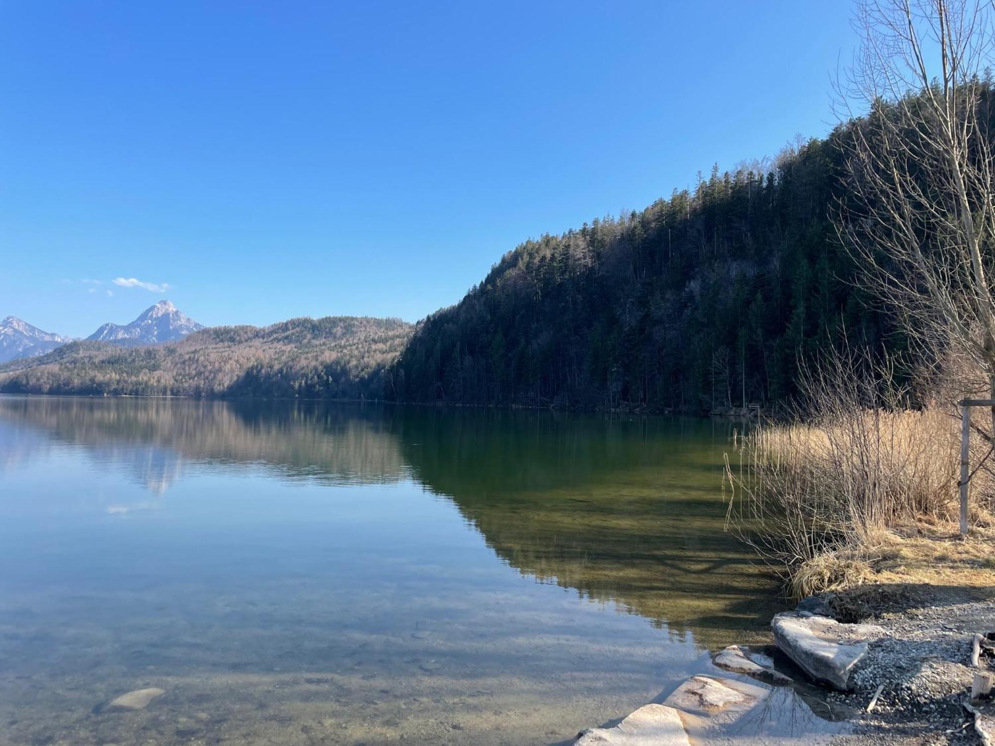 Landhaus Am Weissensee フュッセン エクステリア 写真